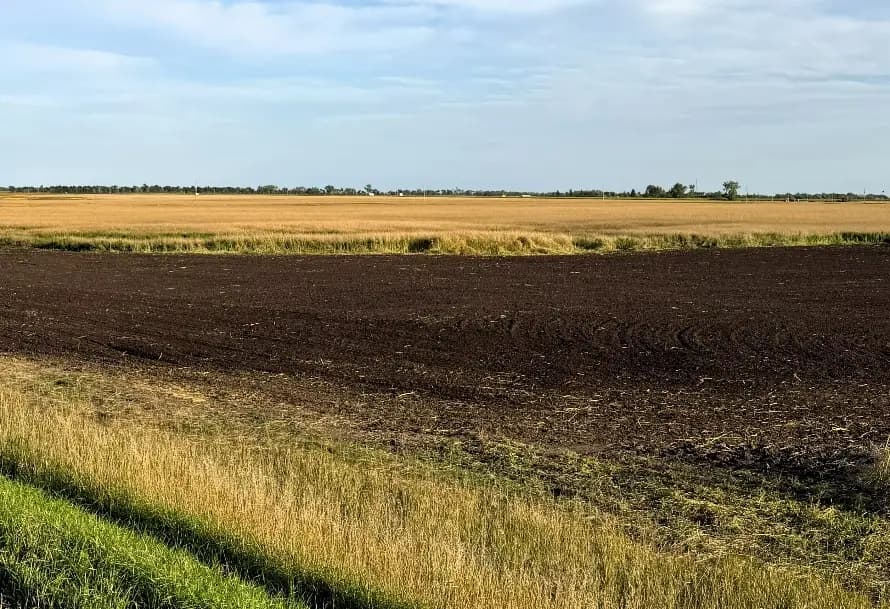 The worked area at Grengs #1, cut into harvested cropland.